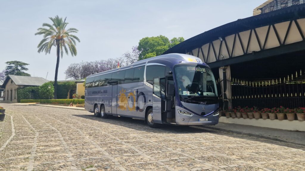 Vehículos para personas con movilidad reducida
