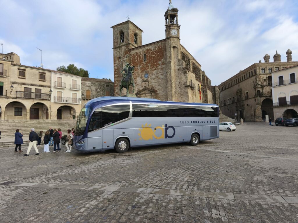 quién debe usar los cinturones de seguridad en un autobús